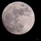 Lune