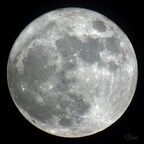 Lune
