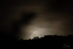 Lune