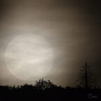 Lune