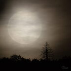 Lune