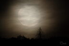 Lune