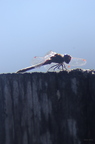 20121106100659-d292bd19