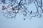 20121106100741-52fc33e7