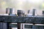 20121106100807-c517e9f3