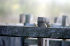 20121106100813-77dd8b5f