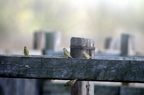 20121106100816-b3bbea5d