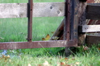 20121106100825-e5cb2bfc