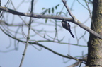 20121106100831-abff988a