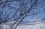 20121106100834-0c7ede47