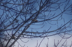 20121106100839-c4561f9a