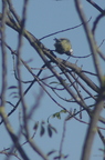 20121106100842-36ffb685