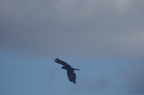 20121106100851-e3423cc9