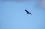 20121106100853-dfb19fd5
