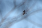 20121106100855-42adcdf9