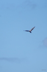 20121106100859-330d02fb