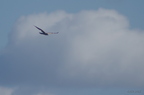 20121106100901-5c63bd31