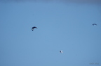20121106100906-71f2e0dd
