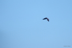 20121106100915-80abf0fe