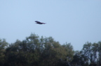 20121106100920-d6e02f66
