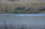 20121106100928-dde4b8ae