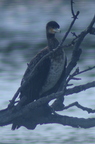 20121106101001-84bd7bd5