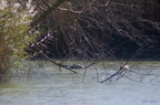 20121106101010-c050d7a1