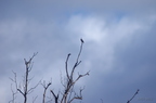 20121106101019-9cb36a68