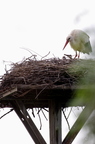 20130502230305-ac6cda7c