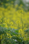 20130502230306-7962c288