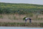 20130502230307-021ec3fb
