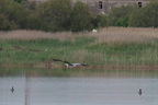 20130502230309-c77a62f9