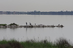 20130502230311-cf8b0bef