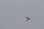 20130502230321-b412d8e8