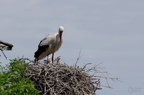 20130502230416-fa4b17af