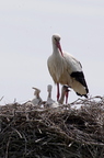 20130502230419-52379c8f