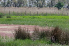 20130502230424-f9306fae