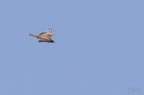 20130502230427-d07c8831