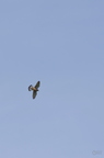 20130502230428-ec46b383