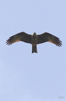 20130502230429-a9fab197