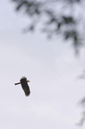 20130502230432-6fcdb912