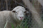 20130502230435-54285f26