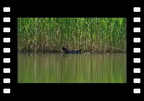 20130505144635-28baa974