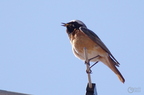 20130505182714-22184ac3
