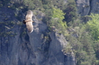 20130515184559-e40cddef