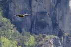 20130515184604-5ddd8842