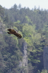 20130515184608-a1aaa5e3