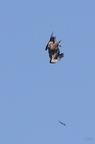20130515184618-a0dbc143