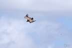 20130515184627-8eac3e14