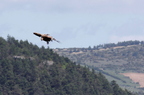 20130515184633-4f00bdbb
